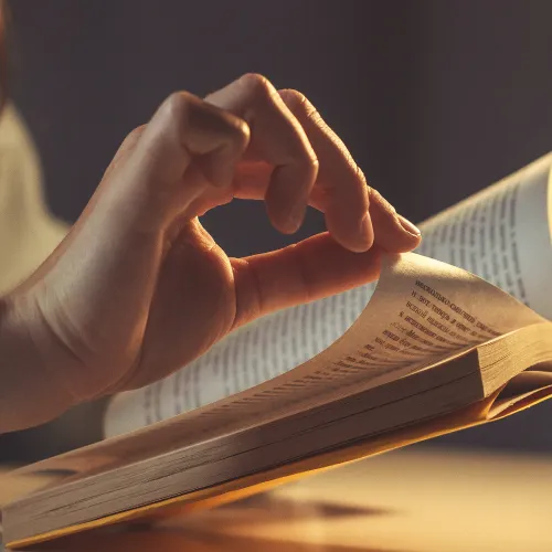 Lectura crítica II